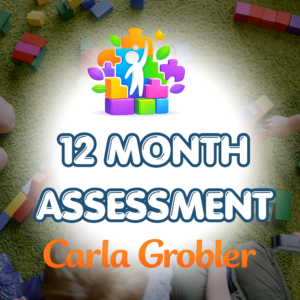 12 Month Child Development Assessment