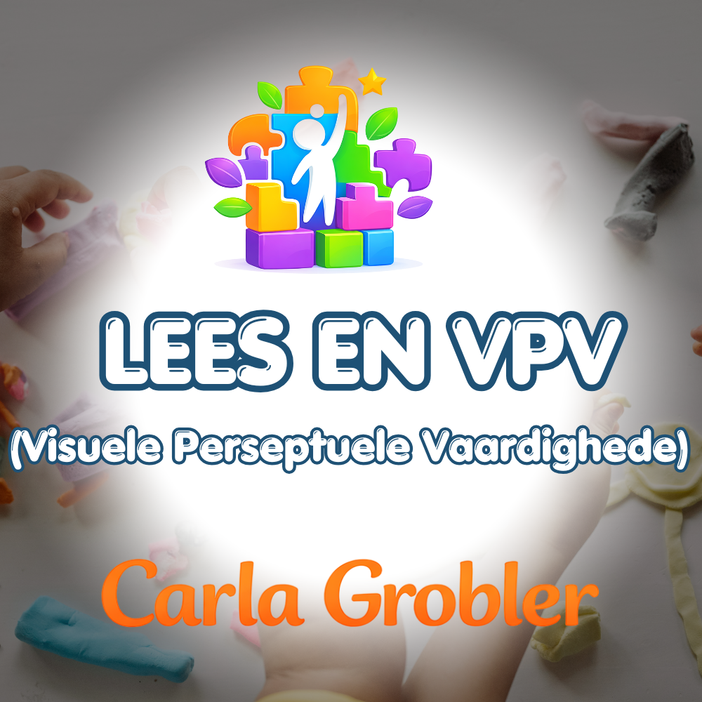 Visuele Perseptuele Vaardighede & Leesontwikkeling – Video Gids