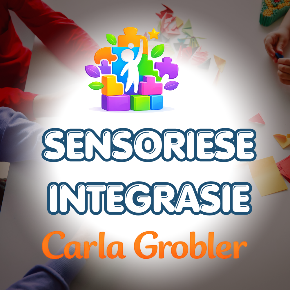 Sensoriese Integrasie – Video Gids
